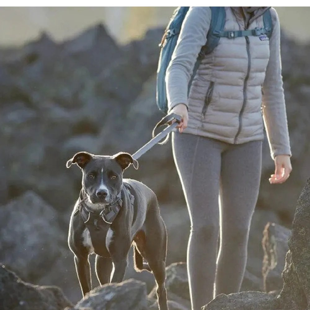 Front Range Dog Leash