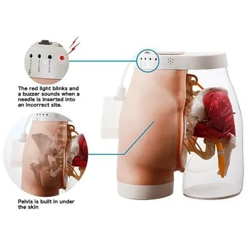 Intramuscular Buttock Injection, Type 2