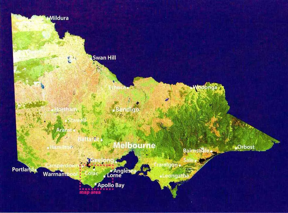 Meridian Wombat State Forest 4WD Map